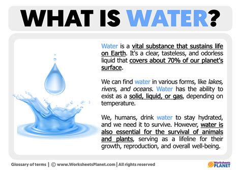 what is wottev|WattEV.